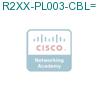 R2XX-PL003-CBL= подробнее
