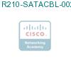 R210-SATACBL-002= подробнее