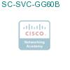 SC-SVC-GG60B подробнее
