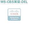 WS-CBS3032-DEL подробнее
