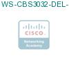 WS-CBS3032-DEL-F подробнее