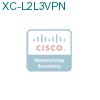 XC-L2L3VPN подробнее