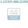 L-UCSS-ANLGUWL-1M подробнее