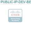 PUBLIC-IP-DEV-BE подробнее