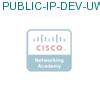 PUBLIC-IP-DEV-UWL подробнее