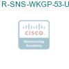 R-SNS-WKGP-53-U-K9 подробнее