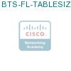 BTS-FL-TABLESIZE= подробнее