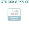 CTS1300-SPKR-COV= подробнее