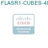 FLASR1-CUBES-4KP подробнее