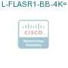 L-FLASR1-BB-4K= подробнее