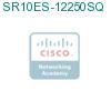 SR10ES-12250SQ подробнее