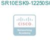 SR10ESK9-12250SQ подробнее