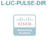 L-LIC-PULSE-DIR подробнее