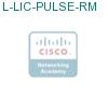 L-LIC-PULSE-RM подробнее