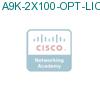 A9K-2X100-OPT-LIC подробнее