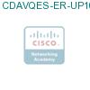 CDAVQES-ER-UP1000 подробнее