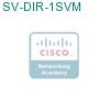SV-DIR-1SVM подробнее