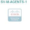 SV-M-AGENTS-1 подробнее