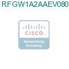 RFGW1A2AAEV0800000 подробнее