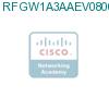 RFGW1A3AAEV0800000 подробнее