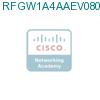 RFGW1A4AAEV0800000 подробнее