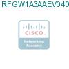 RFGW1A3AAEV0400000 подробнее