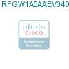 RFGW1A5AAEV0400000 подробнее