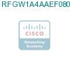 RFGW1A4AAEF0800000 подробнее