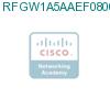 RFGW1A5AAEF0800000 подробнее