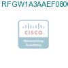 RFGW1A3AAEF0800000 подробнее