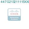 447G213211115XXD подробнее