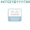 447G213211117AXD подробнее