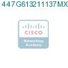 447G613211137MX1 подробнее