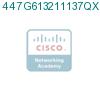 447G613211137QX1 подробнее