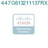 447G613211137RX1 подробнее