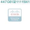 447G613211115IX1 подробнее