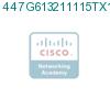 447G613211115TX1 подробнее