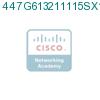 447G613211115SX1 подробнее