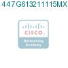 447G613211115MX1 подробнее