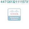 447G6132111157X1 подробнее