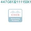 447G6132111153X1 подробнее