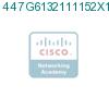 447G6132111152X1 подробнее
