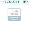 447G613211115RX1 подробнее