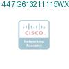 447G613211115WX1 подробнее