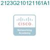 2123G210121161A1 подробнее