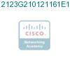 2123G210121161E1 подробнее