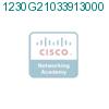 1230G21033913000 подробнее