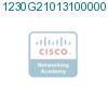 1230G21013100000 подробнее