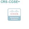 CRS-CGSE= подробнее