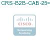 CRS-B2B-CAB-25= подробнее